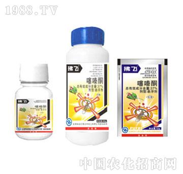 ����-���ͪ