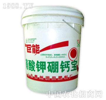 ��(r��n)��-������������}��