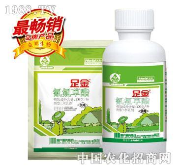 ����-���-�������