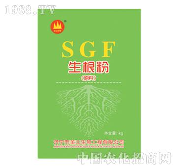 ��ɽ����-������