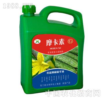 �S���־����AҺ-Ħ����-��(qi��ng)о���H