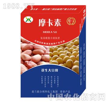 �����󶹌��ð���������Һ�ķ�-Ħ����-��о���H