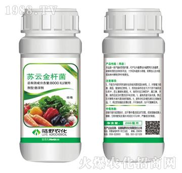 �K�ƽ�U���Ҹ���-�ٴ�-�Ұ�r��