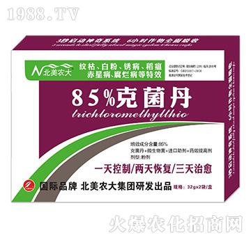 85%�˾���-�����r(n��ng)��