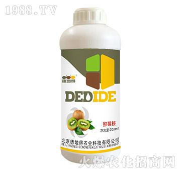 �J���Ҍ���-�µص�