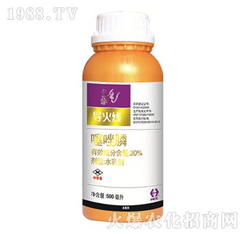 20%�����-����-�A�̻���