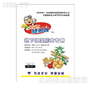 ���¸��o�����-�r(n��ng)�_(d��)����