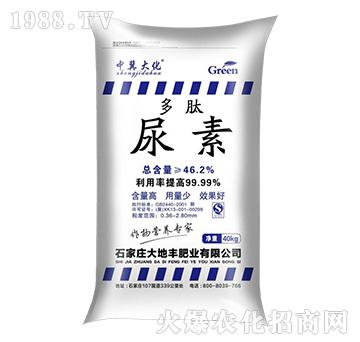 ��������40kg-����S