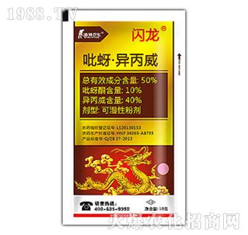 50%������������-�W��-��Ѹ