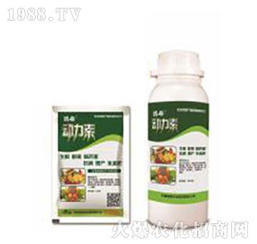 ��(d��ng)����-�̸�-�ɭ�r(n��ng)�I(y��)