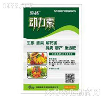 50�˄�(d��ng)����-�̸�-�ɭ�r(n��ng)�I(y��)