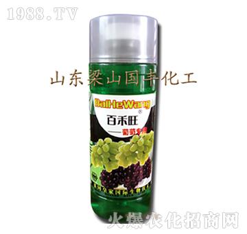 ���ь����~���-��ɽ���S