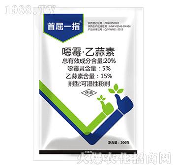 20%�fù��������-����һָ-���P��