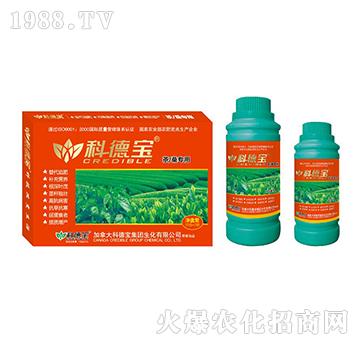 �衢ɣ���àI(y��ng)�B(y��ng)���a(ch��n)�{(di��o)�턩-�Ƶ�