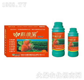 ��ݮ���àI(y��ng)�B(y��ng)���a(ch��n)�{(di��o)�턩-�Ƶ�