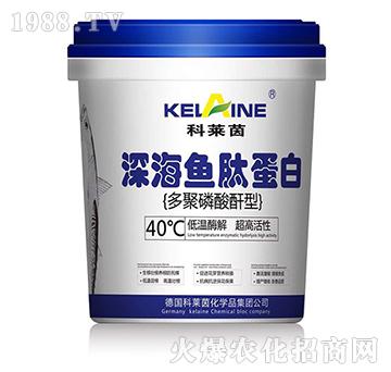 ��~����-���R��-�W���r(n��ng)�I(y��)