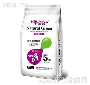 ����Ԫ��ˮ�ܷ���5-8-45+TE-���R��-�W���r�I(y��)