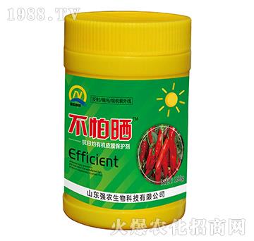 �������ЙCƤĤ���o(h��)��-����-���r(n��ng)����