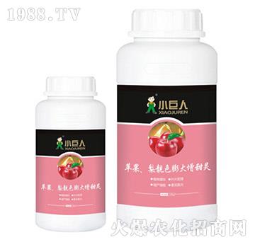 �O�������nɫ��������`�{��(ji��)��-С����