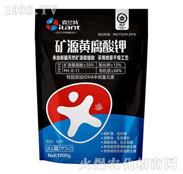 �VԴ�S�����-ϲ�m��