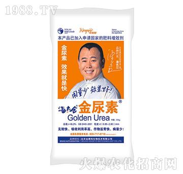 ������-�˴�}(c��ng)-��ِ�(y��ng)