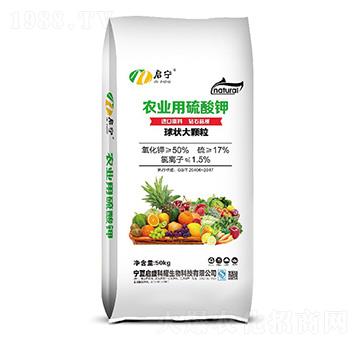 ����������w��-�r(n��ng)�I(y��)�������-��ʢ��ҫ