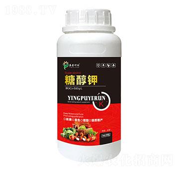 �Ǵ��-Ӣ���~��