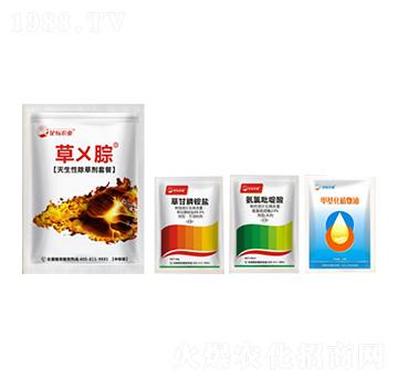 �����Գ��݄��ײ�-�݁W��-���