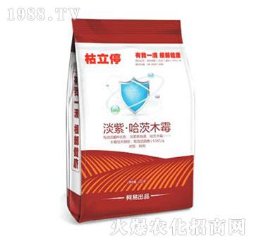 ���ϡ�����ľù��-����ͣ-����ֲ��