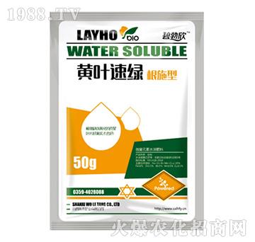 �S�~�پG����ʩ�ͣ�-����