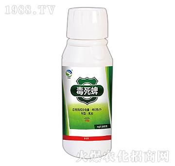 ������-���x(ch��ng)һ����-�l(xi��ng)�@�r(n��ng)��