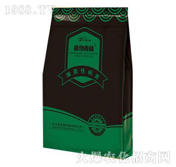 �����Բ�������΢�������-ֲ������-������