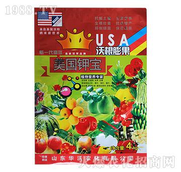 �ָ����-����⛌�-�A���r��