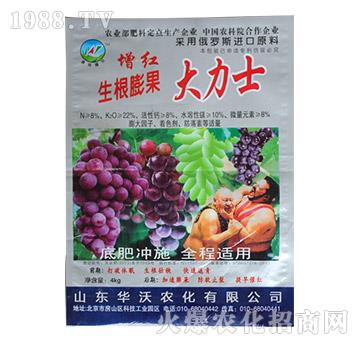 �����������ʿ-�A���r(n��ng)��