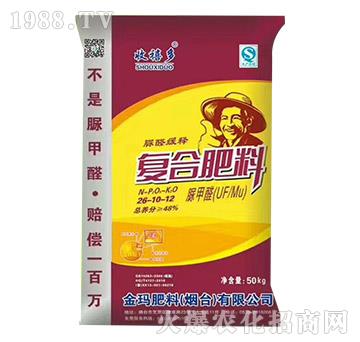 ��ȩ��ጏͺϷ���26-10-12-������-��