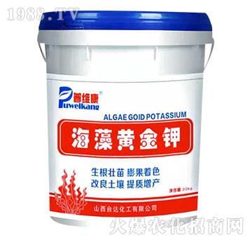 �����S���-�վS��-�_�_(d��)