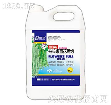 ������L(zh��ng)��ֱ���v�-嫘�(l��)��