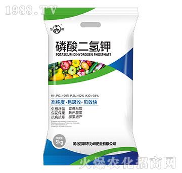 5kg��������-���