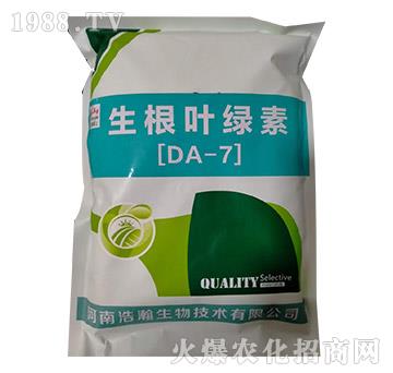 �����~�G�أ�DA-7��-�����