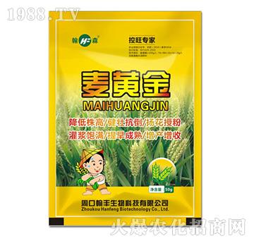 ���S��-���S