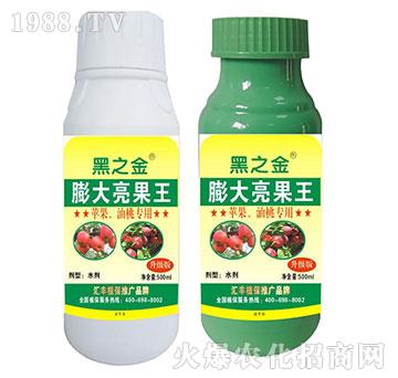 �O(p��ng)�������Ҍ������������-�R�Sֲ��