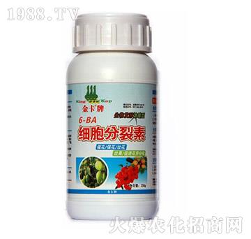 ��(x��)��������-��-� �����