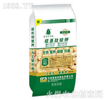 �������÷���-������@�-ɏԴ��