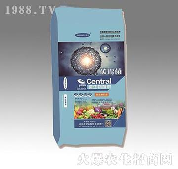 ΢�������-̼ø��-���w�r�I(y��)