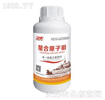 ��һ΢��Ԫ�ط���-����ԭ���f-�S�f(w��n)��