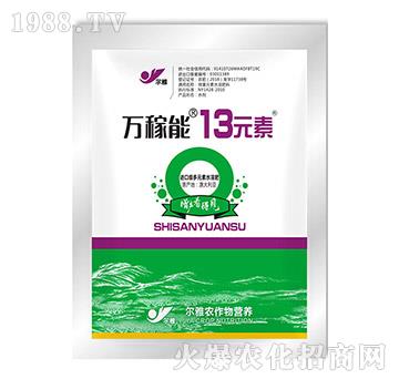 13Ԫ�أ�����-�f(w��n)����-Ǭ�r(n��ng)
