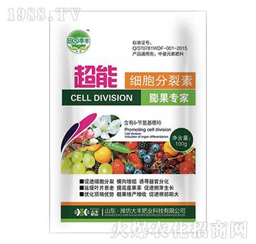 ���ܼ���������-��@���S-���S�ʘI(y��)