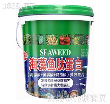 �����~(y��)�ĵ���-��@���S-���S�ʘI(y��)