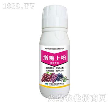 ���ь��������Ϸ�-���䌍(sh��)�I(y��)