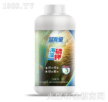 ������⛣�1kg��-�{����